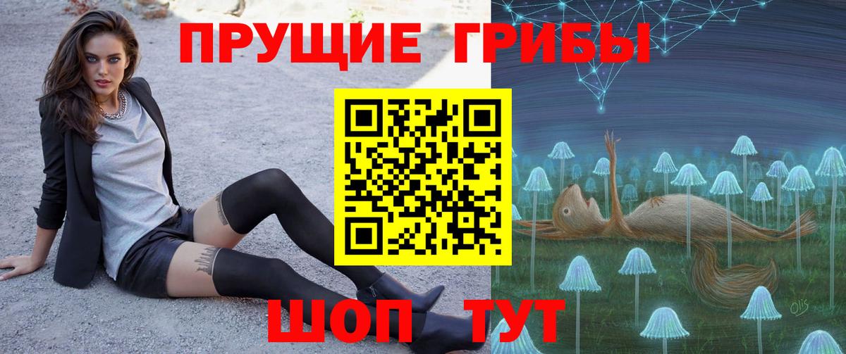 Псилоцибиновые грибы GOLDEN TEACHER  Вход с VPN  Псилоцибиновые грибы мухоморы  Выборг 