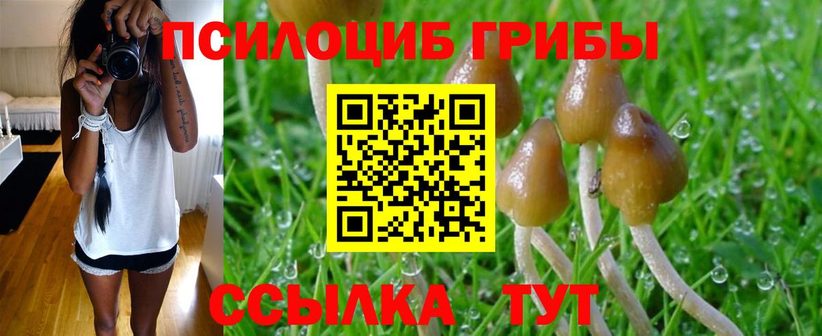 Псилоцибиновые грибы Magic Shrooms Выборг